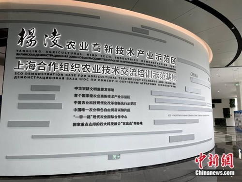 走进杨凌 智慧农业如何赋能对外开放
