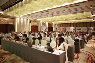 顶立科技承办的 第二届纤维复合材料固废回收再利用技术交流大会 在湘召开